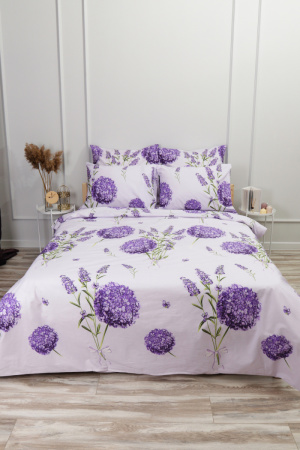 eca0cae5-cbc2-456b-9816-2d82c78e1ec6